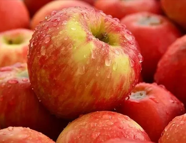 Elmayla dişler keskin