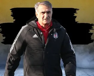 Beşiktaş'a Tottenham'dan transfer!