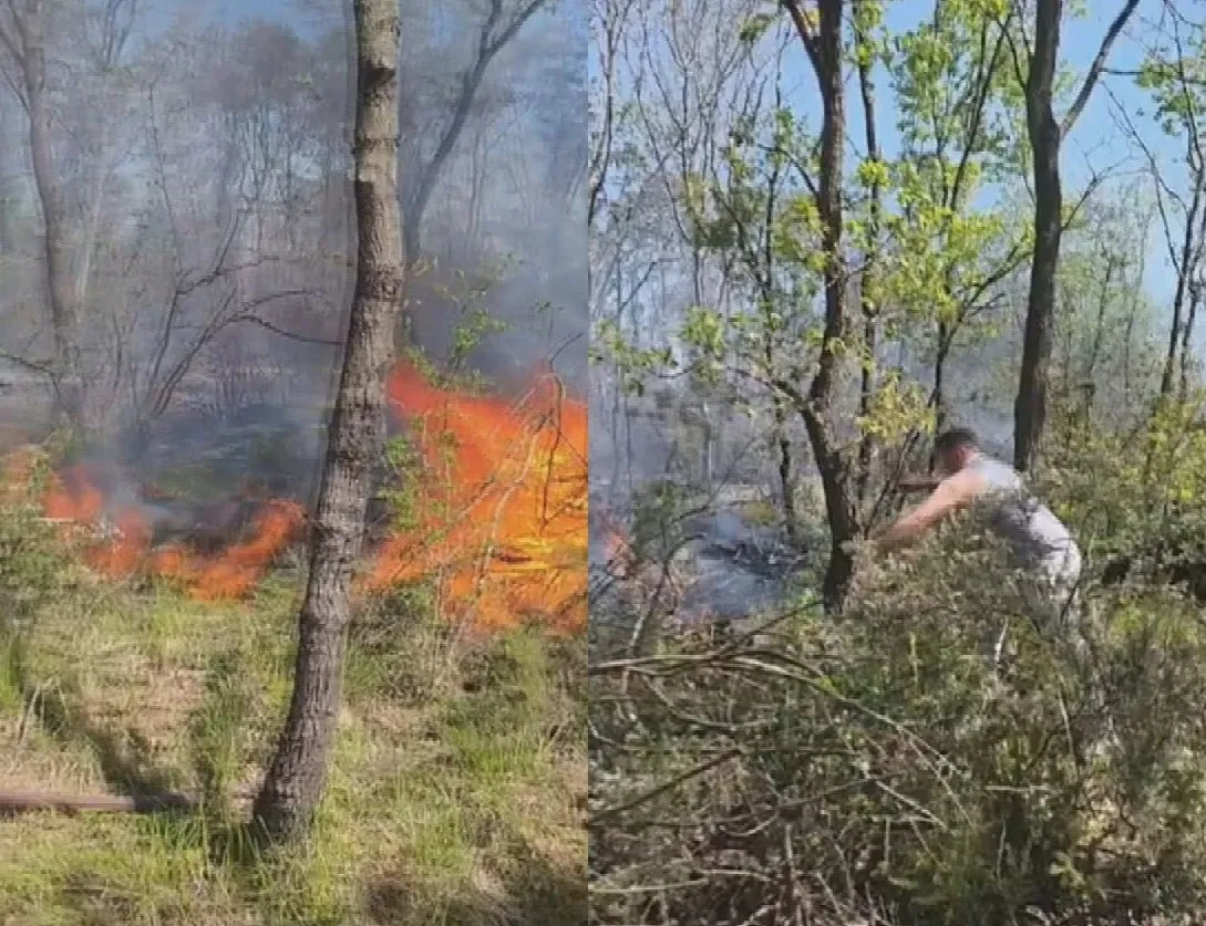 beykoz-ve-catalcada-orman-yangini-valilik-son-durumu-acikladi-ekiplerden-canhiras-mucadele-1777221971346.jpeg Beykoz ve Çatalca'da orman yangını! Valilik son durumu açıkladı: Ekiplerden canhıraş mücadele-1