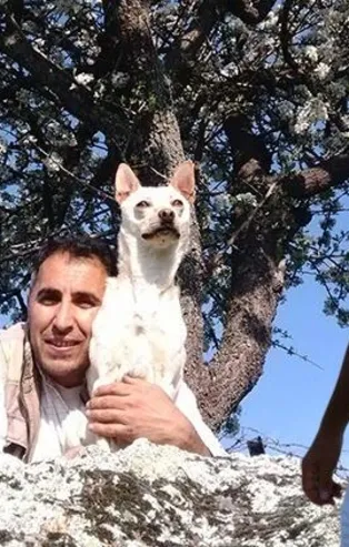 İngiltere Taşkın Daşdan isimli Türk'ü konuşuyor! Milyonluk miras...