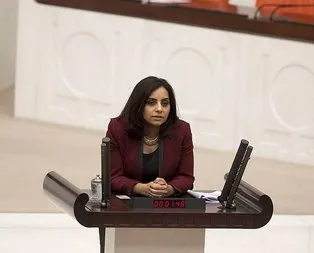 CHP’li Selina Doğan’dan skandal paylaşım