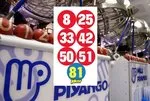 Çılgın Sayısal Loto belli oldu! 262 milyon devretti