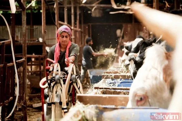 Muratpaşa İlçesinde Yaşayan 43 Yaşındaki 3 Çocuk Sahibi Fatma Öncel, 15 Yıl Önce Evde Canı Sıkıldığını Ve Aile Bütçesine Destek Olmak İstediğini Söyleyerek...