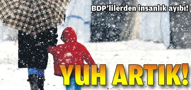 BDP zedeler