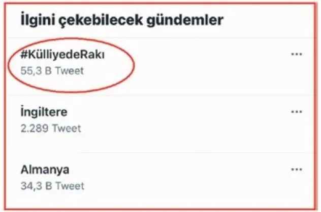 Sabah gazetesi yazarı Melih Altınok: Külliye'de rakı bile dediler ya...