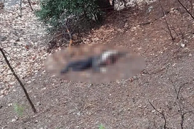 Adana'nın Pozantı ilçesinde O.Ç. isimli şahıs, kumalığı kabul etmeyen kadının başını taşla ezerek öldürdü