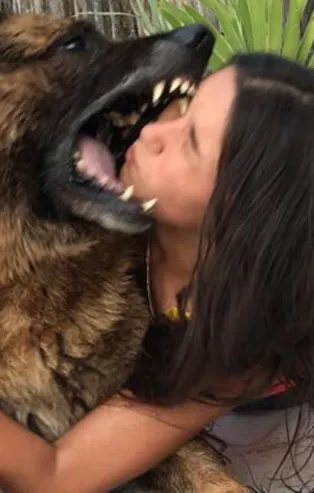 Fotoğraf çekmek isterken köpek tarafından ısırıldı! Genç kıza şok