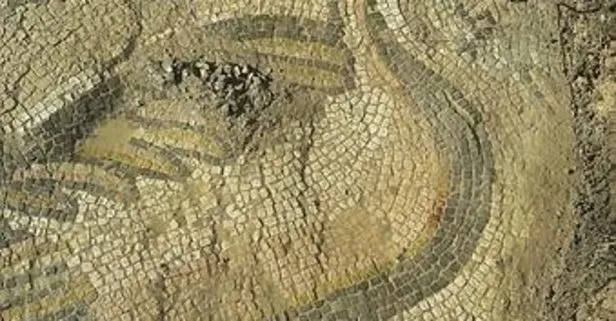 Adıyaman’da ördek figürlü mozaik bulundu