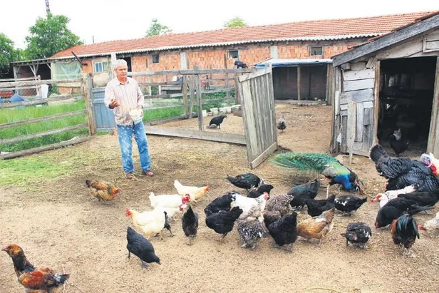 ABD Kovid-19'a yenildi! Türkiye'de valizini alan uçağa binip tatile çıktı-4