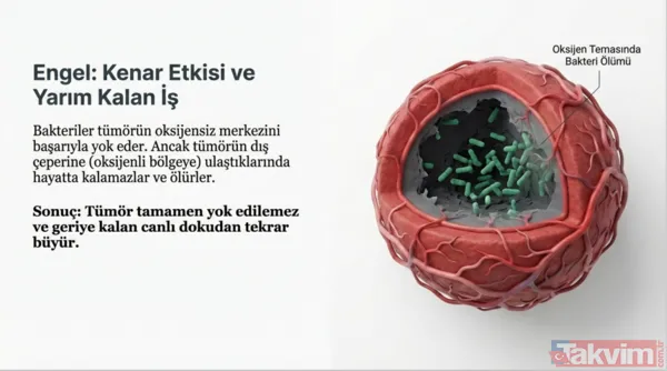 Kansere karşı mikro savaş: Bilim insanları tümörleri içten yiyen bakteri geliştirdi - 6