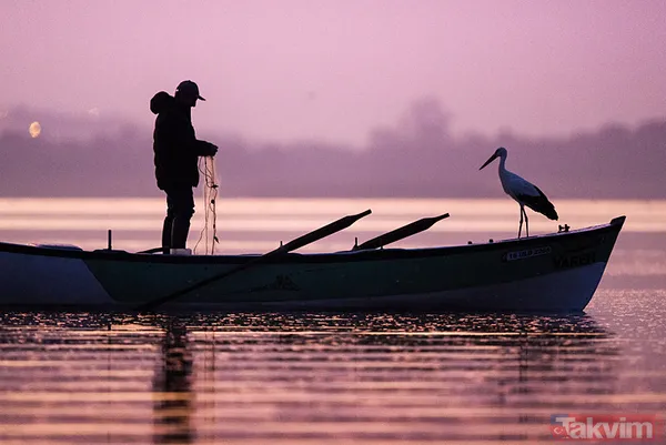 Yaren Leylek geldi: 14 yıl oldu! Yine Adem Yılmaz'ın kayığına kondu - 10