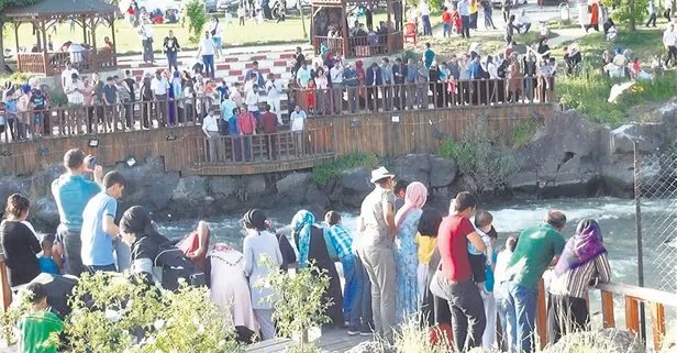 Van Gölü’nde inci kefalinin muhteşem yolculuğu, herkesi büyüledi