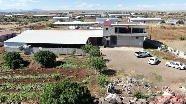 Devlet teşvikiyle 20 büyükbaş alarak çiftlik kurdu üretimi 2 yılda 10 katına çıkardı - 2