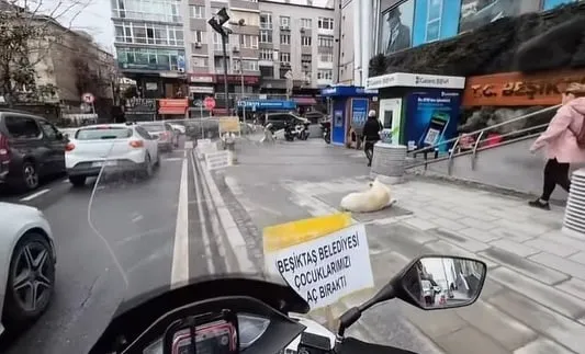 chpli-besiktas-belediyesinin-isten-cikardigi-personel-tek-basina-grev-yapiyor-akrabasi-olanlar-arka-kapidan-gi-1769159434827.jpeg CHP'li Beşiktaş Belediyesi'nin işten çıkardığı personel grev yapıyor: Akrabası olanlar arka kapıdan girdi!-4