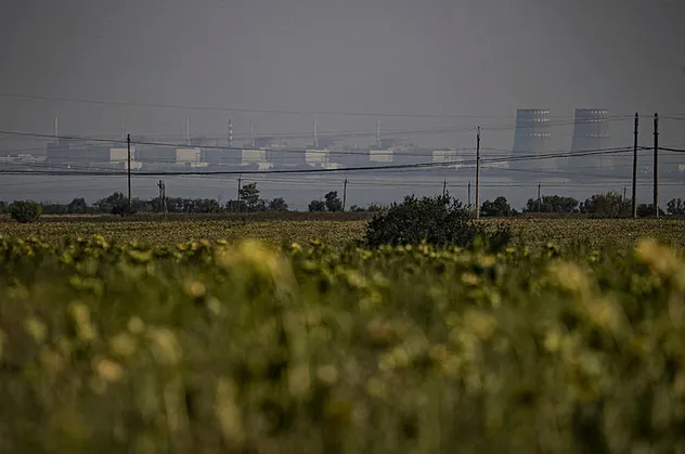 UAEA'dan flaş Zaporijya raporu: Acilen ara tedbirler alınmalı