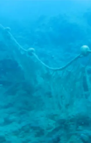 600 yıldır denizin altındalar! Hayalet...