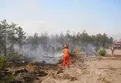 Eskişehir'de ormanlık alanda yangın çıktı