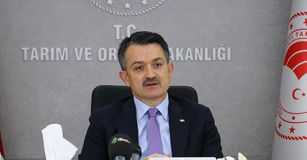 Afetlere karşı devlet garantisi