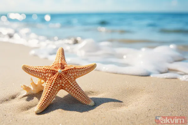 Schengen vizesine randevu engeli! Vizesiz gidilen ülkeler hangileri? İşte Türkiye’den vize istemeyen ülkeler listesi! - 21