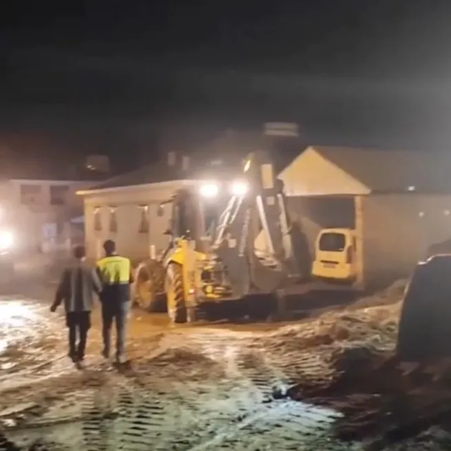 Sel onlarca hayvanı telef etti