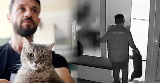 Vicdansızlıkta son nokta I Antalya'da kuaför çırağı kediyi tekme tokat dövdü! Vahşetin görüntüleri kan dondurdu...