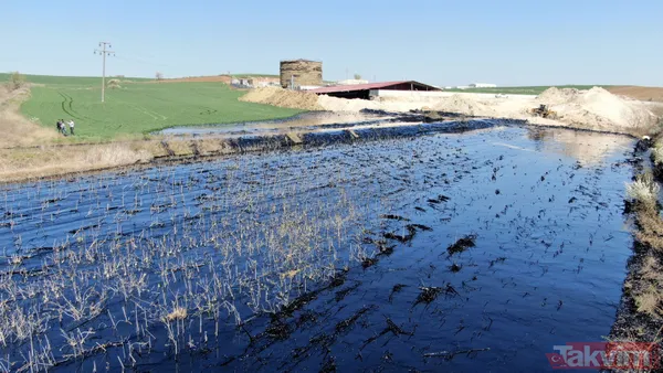 Edirne'de çevre katliamı! Tonlarca fuel oil 30 dekar alana ve dere yatağına yayıldı - 24