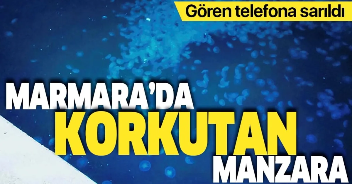 takvim gazetesi