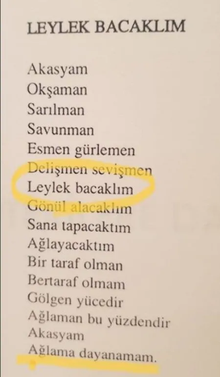 Muharrem İnce'nin erotik şiirleri ortaya çıktı-5