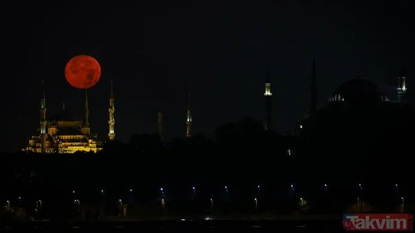 ♒ Kova Kovalar, Maddi Kaynaklarını Yeniden Yapılandırma İhtiyacı Hissedecek. Kişisel Değerler Konusunda Da Netleşme Dönemi. ♓ Balık Balık Burçları Tutulmayı En...