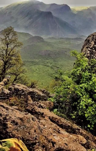 SON DAKİKA! MSB sosyal medyadan duyurdu! Pençe-Şimşek'te 2 PKK'lı daha etkisiz hale getirildi