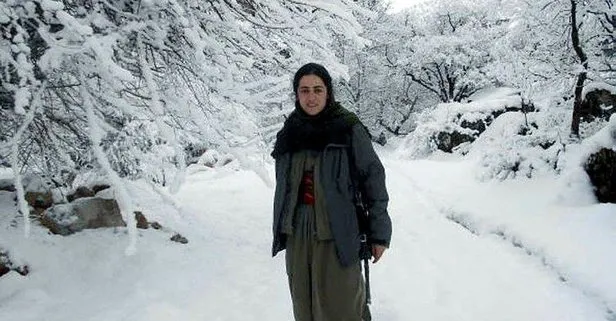 SON DAKİKA: Terör örgütü PKK’da büyük çöküş: Rukiye Çekiç’in ölümünü 4 yıl gizledikleri ortaya çıktı