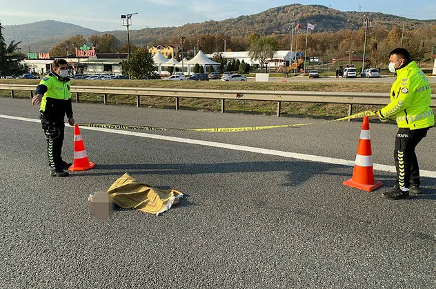 Son dakika: TEM'de feci kaza!