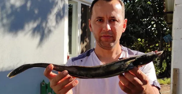 Oltayı çektiğinde şaşkına döndü! Görünce zehirli sandım