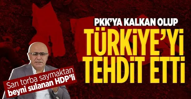 Yine PKK’ya kalkan oldular! HDP’li Hişyar Özsoy’dan küstah sözler! Türkiye’yi tehdit etti: Ağır fatura ödersiniz