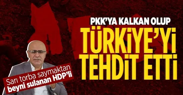 Yine PKK’ya kalkan oldular! Türkiye’yi tehdit etti