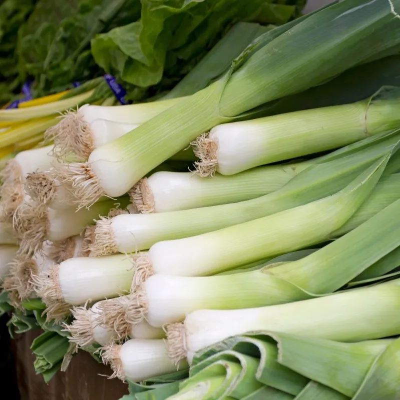Romatizmadan korur hafızayı güçlendirir