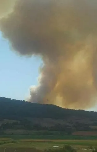 Son dakika: Adana'da tarlada başlayıp ormanlık alana sıçrayan yangına müdahale ediliyor