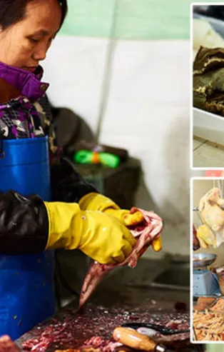 Çin'den dünyayı ayağa kaldıran haber! Koronavirüsün yayıldığı hayvan pazarı bu sefer de internetten satış yapıyor!