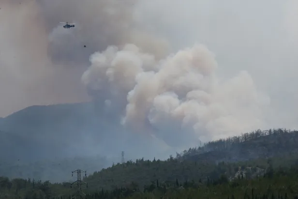 İzmir ve Alanya'da orman yangını-2
