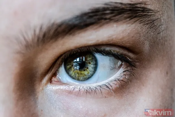 Alternatif Bitkisel Çözümler Kaşlarını Koyulaştırmak İsteyenler İçin Ceviz Kabuğu Tozu, Siyah Çay, Sarı Kantaron, Karanfil Ve Çörek Otu Karışımları Da Etkili...