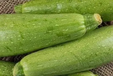 Diyabete kabak