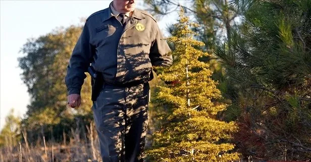 OGM sözleşmeli personel alımı başvurusu nasıl yapılır? Orman Genel Müdürlüğü sözleşmeli personel alımı başvuru şartları!