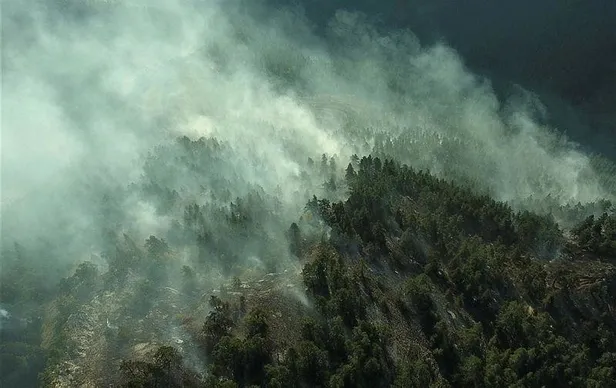 SON DAKİKA: Kastamonu'daki iki orman yangını da kontrol altına alındı-1