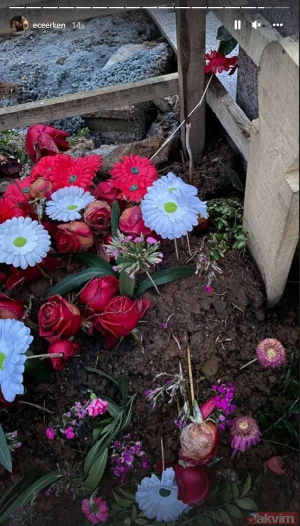 SON DAKİKA: Ece Erken'den sır ifade 'FAYYEM' diyerek neyi kastetti? Şafak Mahmutyazıcıoğlu'nun ölümünde Falyalı suikasti bağlantısı... - 13