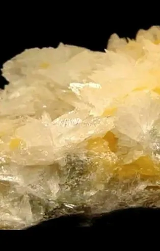 3.3 milyar tonu Türkiye'de | Borda verim 2 bin kata çıktı