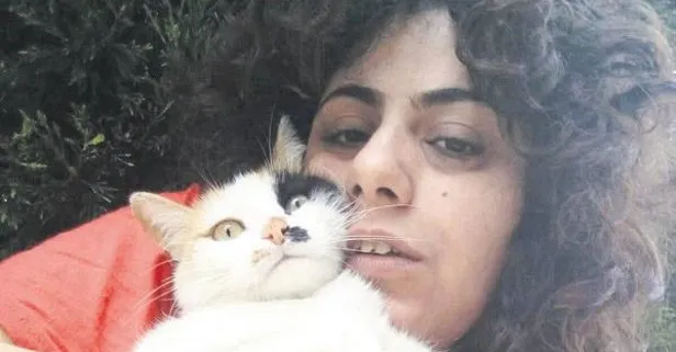 5 yavru kedi kimliği belirsiz kişiler tarafından katledildi.