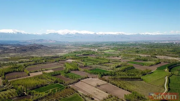 En Uygun Arsa Ve Tarla Fiyatları! İşte Güncel İhale Detayları 1️⃣ Ankara / Beypazarı'nda 52.000 Tl'ye Arsa Satışı! 📌 İhale Bedeli: 52.000 Tl 📌 Teminat Bedeli:...