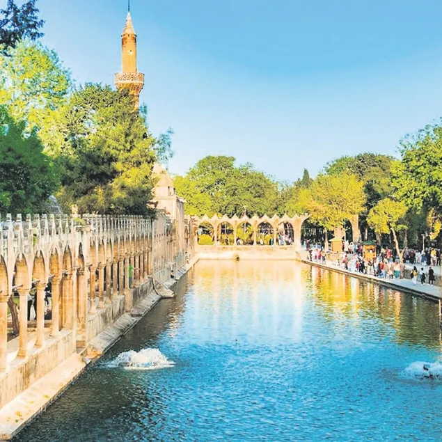 Peygamberler şehrine 100 yeni proje