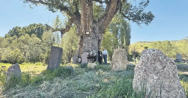 750 yıllık Karakavak’ın gölgesinde Türkler