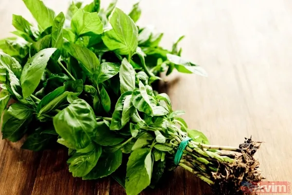 Doğrusu bu değil ne yapın ne edin buzdolabına koymayın! Hepsini buzdolabında saklıyoruz ama uzmanlar uyarıyor - 17